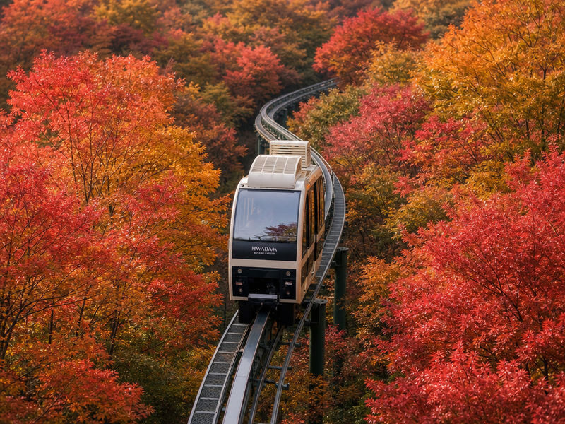 Hwadam Botanic Garden & Namhansanseong & Folk Village Day Trip - Transport, timing and guide style