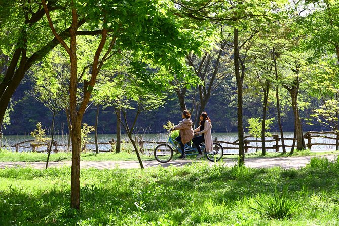 Hwadam Botanic Garden & Nami Island Spring Flowers Day Tour - Additional Information