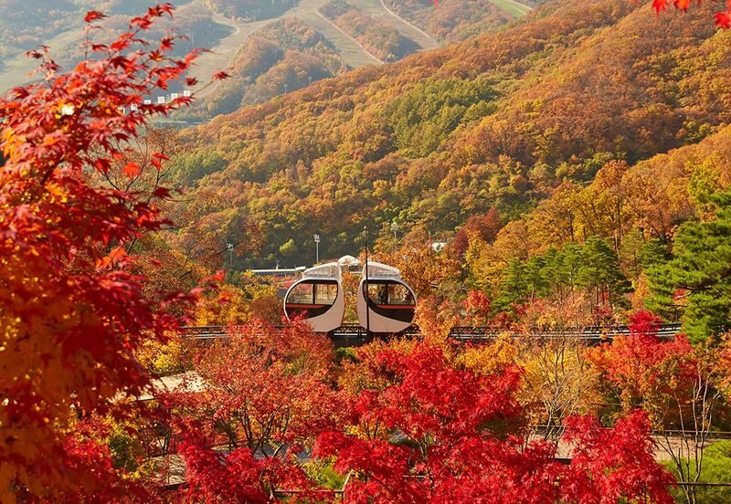 Hwadam Botanical Garden & Korean Folk Village One-day Nature & Cultural Tour - Hwadam is the main event for nature lovers