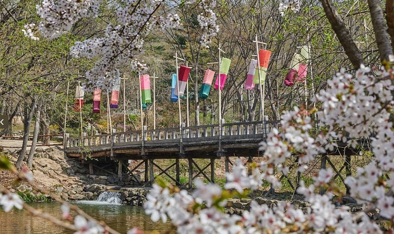 Hwadam Botanical Garden & Korean Folk Village One-day Nature & Cultural Tour - The ride is part of the value, and part of the gamble