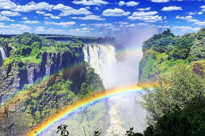 Hwange 2 Nights Bush Camping and Safaris - Itinerary Highlights