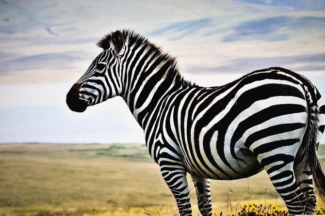 Hwange 2 Nights Bush Camping and Safaris - Customer Reviews