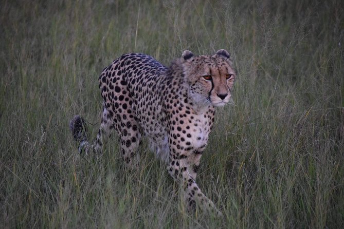 Hwange Day Trip - Reviews