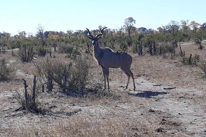 Hwange Day Trip - Important Information