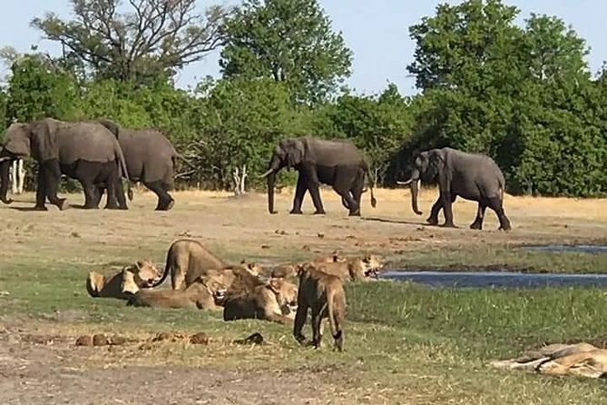 Hwange Day Trip - Frequently Asked Questions