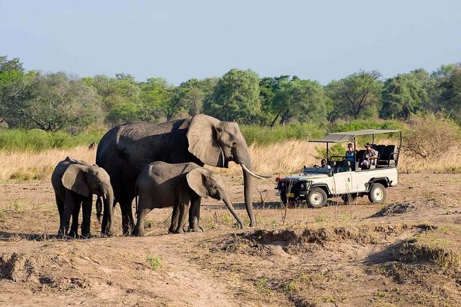 Hwange Day Trip - The Sum Up