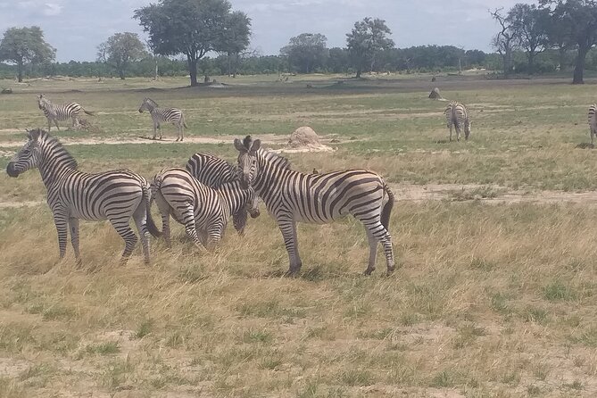 Hwange National Park Full Day Trip - Inclusions in the Full Day Trip