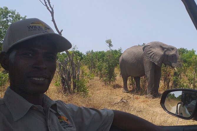 Hwange National Park Full Day Trip - Reviews and Customer Feedback