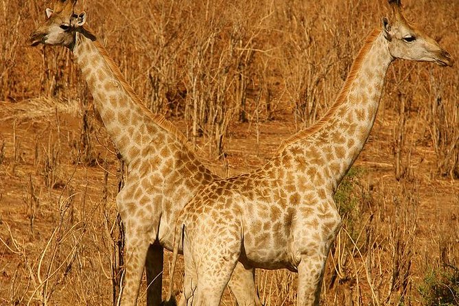 Hwange National Park Safari & Overnight - Pickup Details