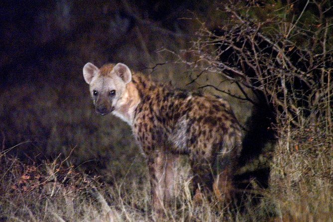Hwange National Park Safari & Overnight - Cancellation Policy Details