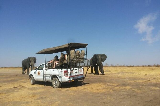 Hwange Park Big 5 Game Drive! - Pickup Details