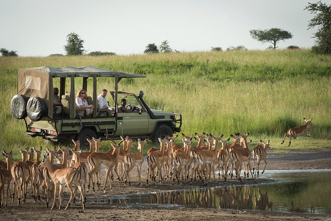 Hwange Park Big 5 Game Drive! - Schedule Information