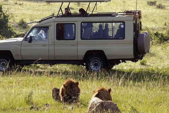 Hwange Park Big 5 Game Drive! - The Sum Up