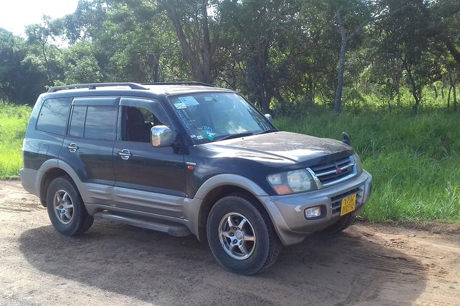 Hwange Safari Daytrip From Vic-Falls - Trip Details and Operator