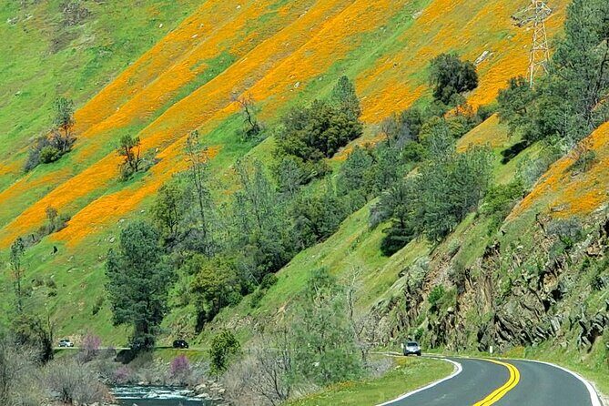 Hwy 140 Route Glacier Point and Yosemite Valley Small Group Tour - Practical Tips for Booking and Making the Most of Your Day