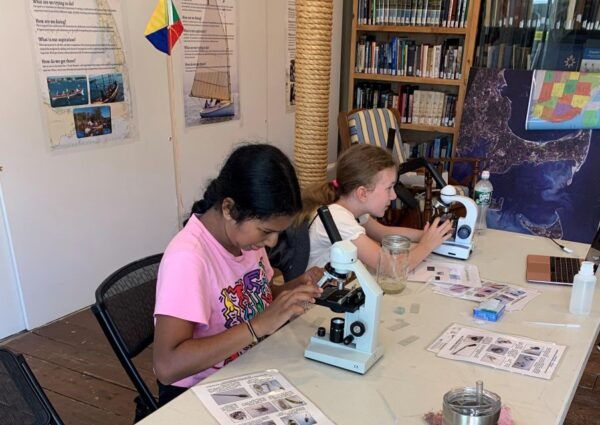 Hyannis: Cape Cod Maritime Museum Entry Ticket - The Sum Up