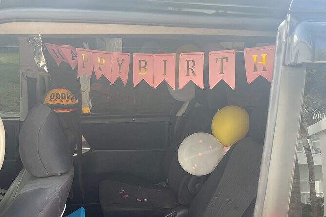 Hyatt zilara or ziva EXCLUSIVE private airport transfer services - Authentic Feedback from Travelers