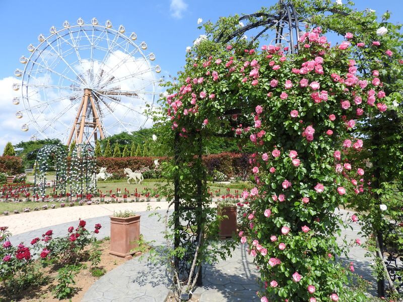 Hybrid Leisure Land Tobu Zoo Ticket Tokyo - Rides for little ones and thrill seekers
