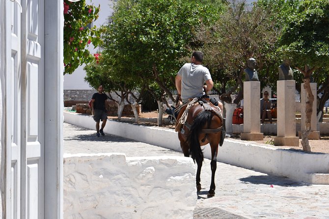 Hydra Island Day Tour - Experience Requirements and Alternatives