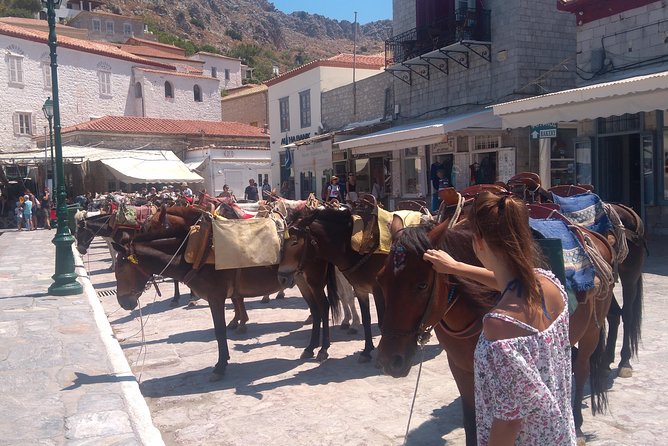 Hydra Island Day Tour With Your Private Guide in the Most Cosmopolitan Island - Common Questions