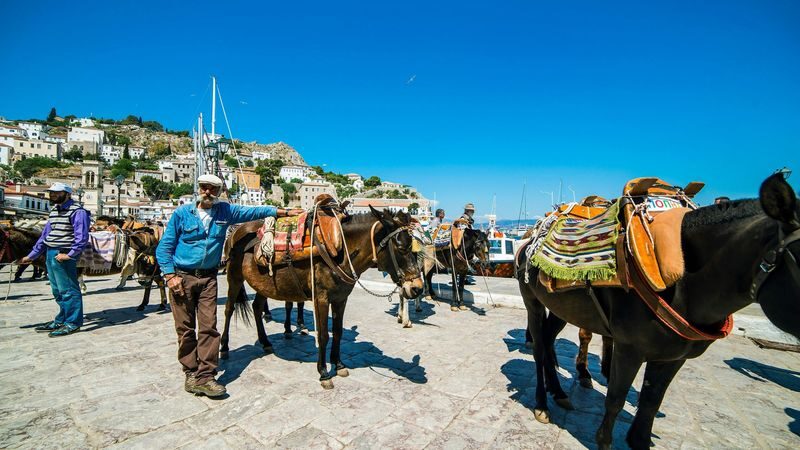Hydra, Poros and Aegina Day Cruise Tour with Lunch from Athens - Timing: allow for a long ride