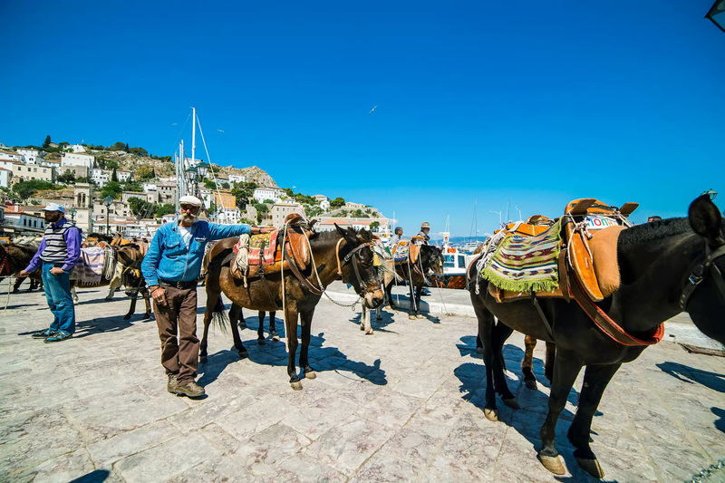 Hydra, Poros and Aegina Day Cruise Tour with Lunch from Athens - Who will enjoy this cruise