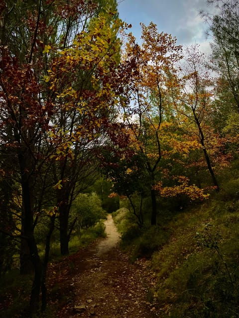 Hymettus: Day and Night Hikes, With the Best Views in Town - Amenities and Inclusions