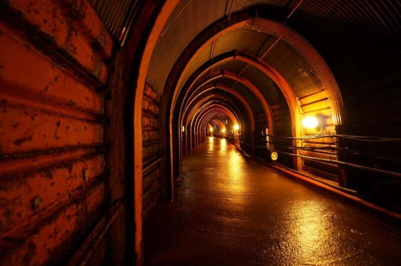 Hyogo: Ikuno Silver Mine Guided Historical Tour - Discovering Ikuno Silver Mine: A Deep Dive into Japan’s Mining Past