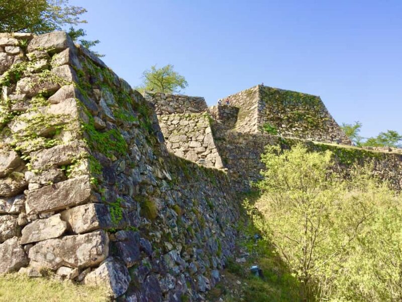 Hyogo: Takeda Castle Castle in Sky Mountain Hiking Tour - Why the Tour Offers Great Value