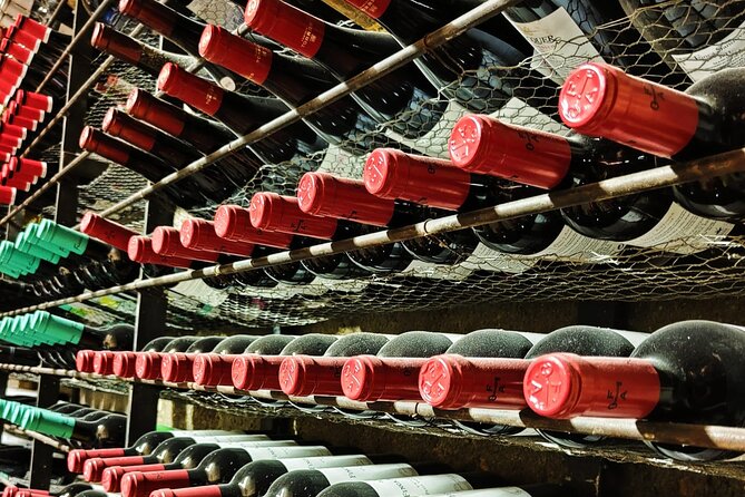 Hypno Tasting Wine Tasting Under Hypnosis in Madrid - The Hypno Tasting Experience in Madrid