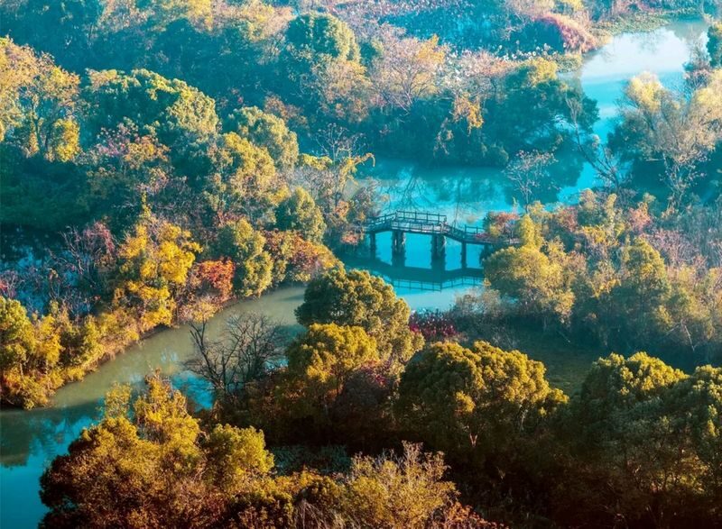HZ Xixi Natl. Wetland Park Ticket + Rowing Boat Exp. Combo - What makes Xixi Wetland worth seeing from the water