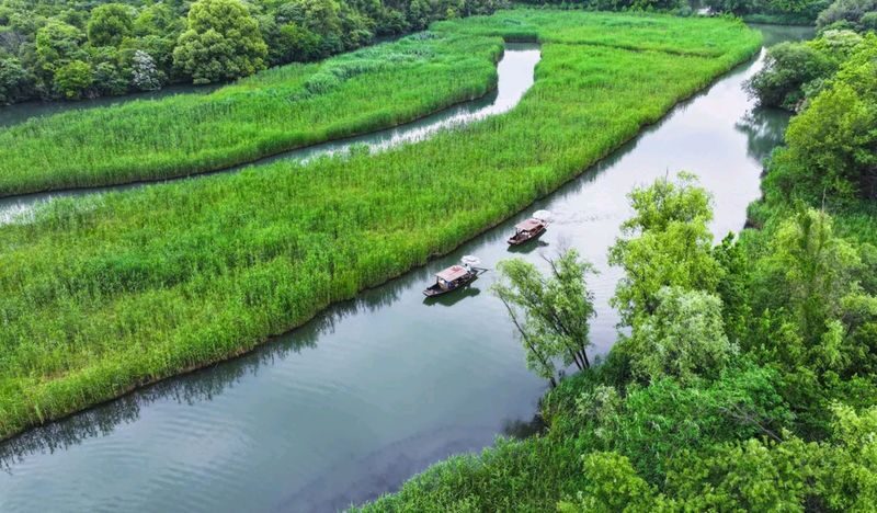 HZ Xixi Natl. Wetland Park Ticket + Rowing Boat Exp. Combo - The 1.5-hour sculling boat ride