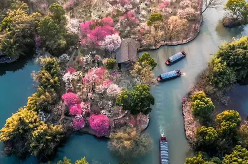 HZ Xixi Natl. Wetland Park Ticket + Rowing Boat Exp. Combo - The scenery changes with the season