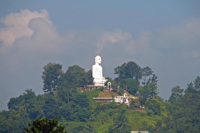 I Day Kandy City Tour - Tour Highlights