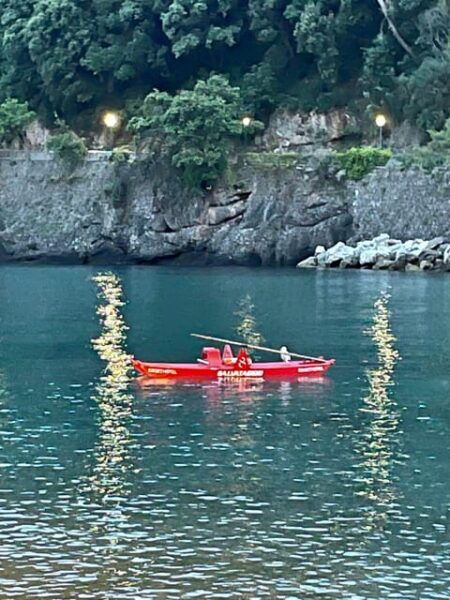 I Found My Love in Portofino, Boat Tour With Guide & Skipper - Booking Process