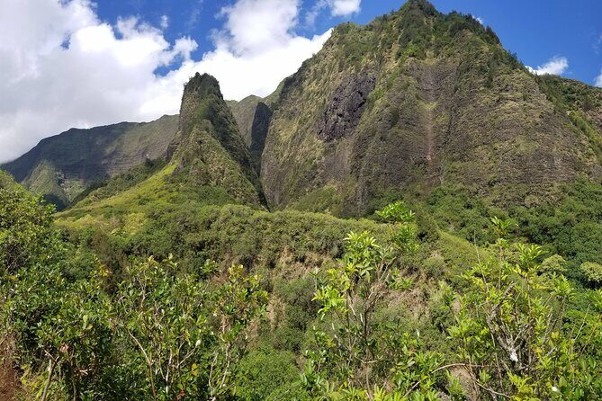 Iao Valley Nature Walk - Deep Dive into the Experience