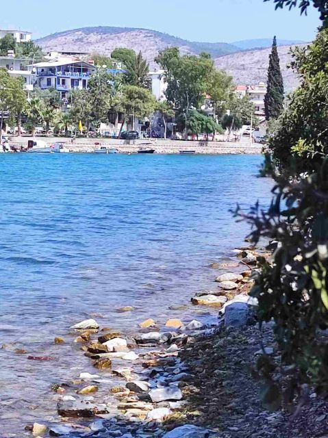 Iasos & Ancient Fish Market Tour - Activity Details