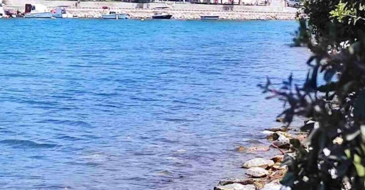 Iasos & Ancient Fish Market Tour - Highlights