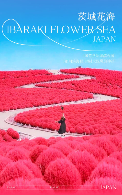Ibaraki Coastal Flower Scenery Tour - Oarai Isosaki Shrine Torii, Nakaminato Fish Market, Hitachi Seaside Park Day Trip - A coastal torii, then three very different stops