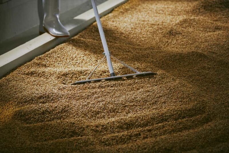 Ibaraki: Kiuchi Brewery Sake or Whisky Tour and Tasting - Who Will Enjoy This Tour?