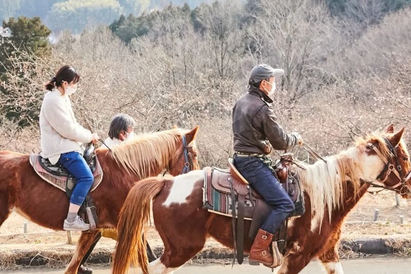 Ibaraki | Mt. Tsukuba Horseback Riding Experience - At a glance