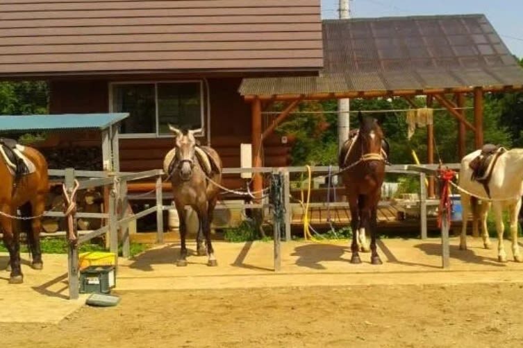 Ibaraki | Mt. Tsukuba Horseback Riding Experience - Choosing between 40, 70, and 120 minutes