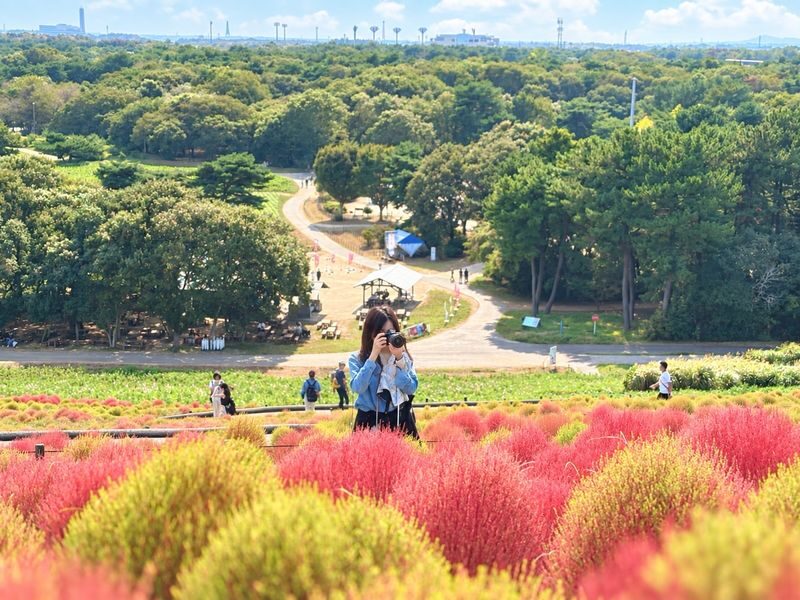 Ibaraki One-Day Tour | Hitachi Seaside Park & Kochia & Oarai Isosaki Shrine & Fukuroda Falls, One of Japans Three Great Waterfalls - Three Ibaraki sights, one long day