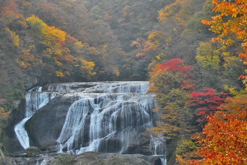 Ibaraki One-Day Tour | Hitachi Seaside Park & Kochia & Oarai Isosaki Shrine & Fukuroda Falls, One of Japans Three Great Waterfalls - Price, inclusions, and extra costs