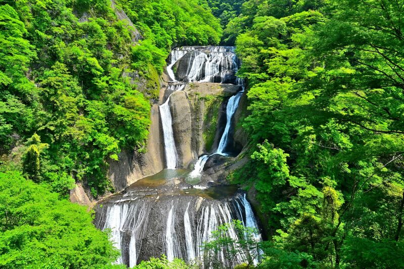 Ibaraki One-Day Tour | Hitachi Seaside Park & Kochia & Oarai Isosaki Shrine & Fukuroda Falls, One of Japans Three Great Waterfalls - Who will get the most from this trip