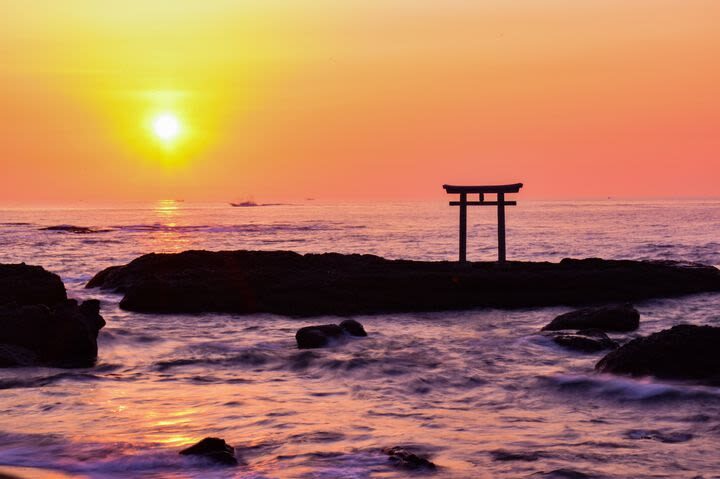 Ibaraki/Tokyo Suburbs Private Chartered Day Tour | Hitachi Seaside Park, Ashikaga Flower Park, Tonegawa Fireworks Festival - What the price covers, and what it does not