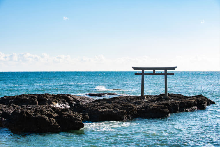 Ibaraki/Tokyo Suburbs Private Chartered Day Tour | Hitachi Seaside Park, Ashikaga Flower Park, Tonegawa Fireworks Festival - Language and pickup details to check