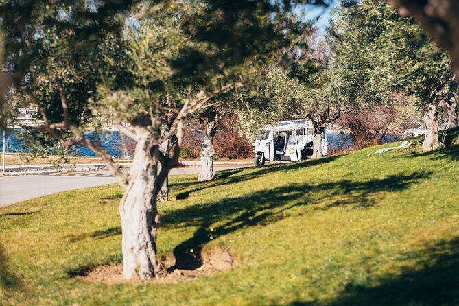 ibenik: 3 fortresses; City&wine tour; tasting and all fees inc - Who Should Consider This Tour?