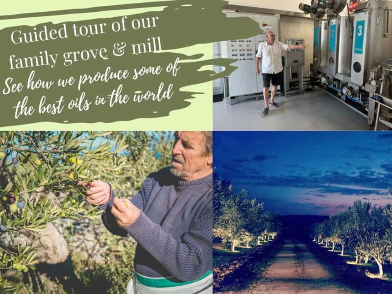 ibenik: Croatia in a Day, Vistas, History, Olive Oil, Wine - Why We Recommend It