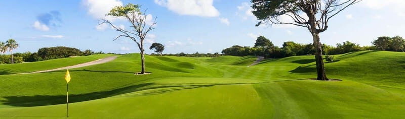 Iberostar Playa Paraiso Golf Club | Tee time Riviera Maya - An Overview of Iberostar Playa Paraiso Golf Club